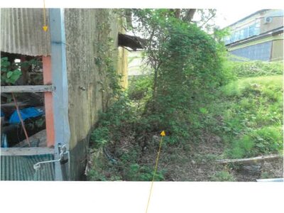 福島県耶麻郡西会津町 野沢駅17分 農地 54万円の競売物件 #10