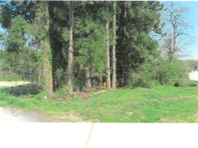 福島県耶麻郡西会津町 野沢駅17分 農地 54万円の競売物件 #3