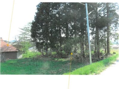 福島県耶麻郡西会津町 野沢駅17分 農地 54万円の競売物件 #7