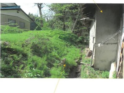 福島県耶麻郡西会津町 野沢駅17分 農地 54万円の競売物件 #9