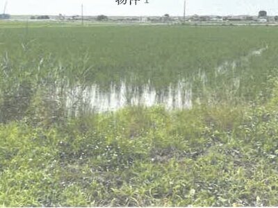 栃木県栃木市 野木駅 農地 124万円の競売物件 #1