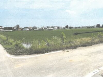 栃木県栃木市 野木駅 農地 124万円の競売物件 #2