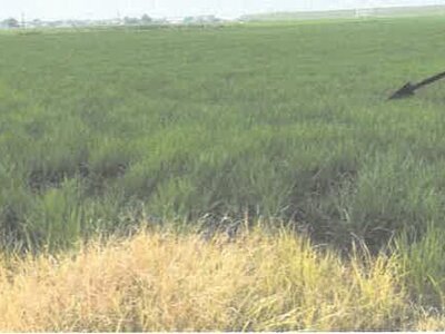 栃木県栃木市 野木駅 農地 104万円の競売物件 #1