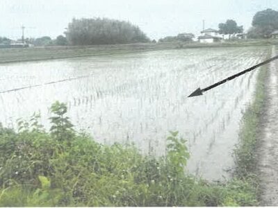 栃木県栃木市 野木駅 農地 67万円の競売物件 #1