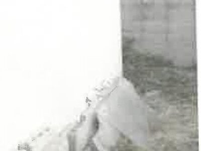 群馬県伊勢崎市 国定駅 戸建て 143万円の競売物件 #3