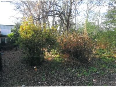 埼玉県本庄市 本庄駅 戸建て 598万円の競売物件 #12