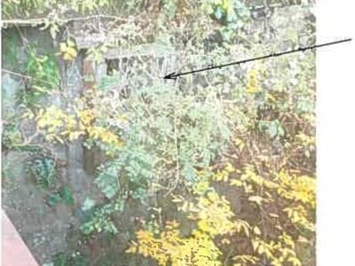 静岡県熱海市 来宮駅9分 土地 904万円の競売物件 #1