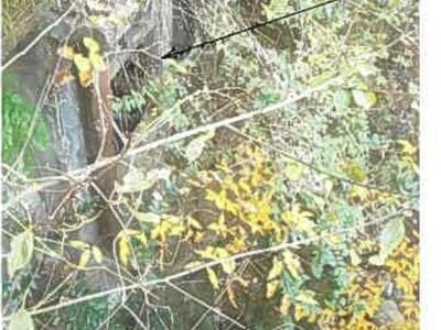 静岡県熱海市 来宮駅9分 土地 904万円の競売物件 #2