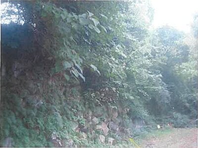 静岡県熱海市 来宮駅9分 土地 904万円の競売物件 #7