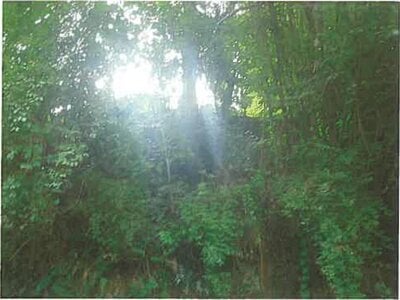 静岡県熱海市 来宮駅9分 土地 904万円の競売物件 #9