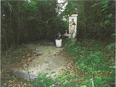 静岡県伊東市 宇佐美駅9分 農地 756万円の競売物件 #2