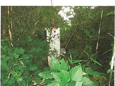 静岡県伊東市 宇佐美駅9分 農地 756万円の競売物件 #5