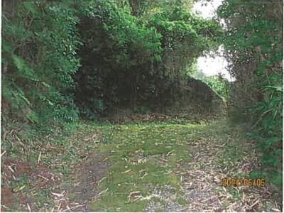 静岡県伊東市 宇佐美駅9分 農地 756万円の競売物件 #6