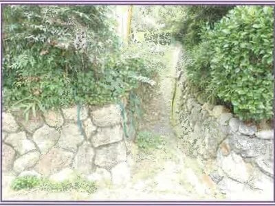 静岡県浜松市浜名区 尾奈駅27分 農地 49万円の競売物件 #12