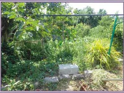 静岡県浜松市浜名区 尾奈駅27分 農地 49万円の競売物件 #3