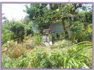 静岡県浜松市浜名区 尾奈駅27分 農地 49万円の競売物件 #8