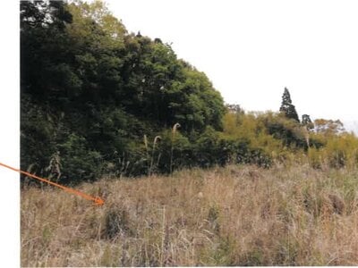 (値下げ) 宮崎県串間市 串間駅 戸建て 118万円の競売物件 #18