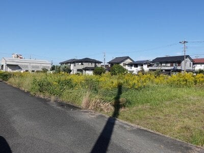 岐阜県羽島市 竹鼻駅26分 農地 79万円の国税庁公売物件 #1
