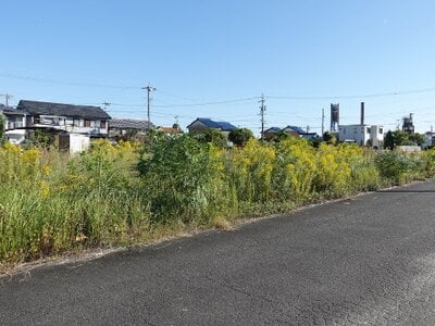 岐阜県羽島市 竹鼻駅26分 農地 79万円の国税庁公売物件 #2