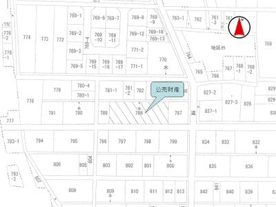 岐阜県羽島市 竹鼻駅26分 農地 79万円の国税庁公売物件 #3