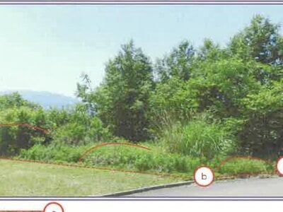 山梨県甲斐市 塩崎駅20分 土地 123万円の競売物件 #5