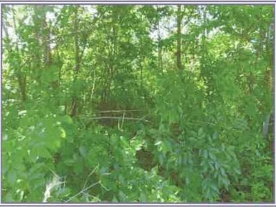 山梨県甲斐市 塩崎駅20分 土地 123万円の競売物件 #9