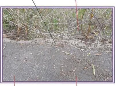 山梨県甲府市 竜王駅25分 土地 925万円の競売物件 #22