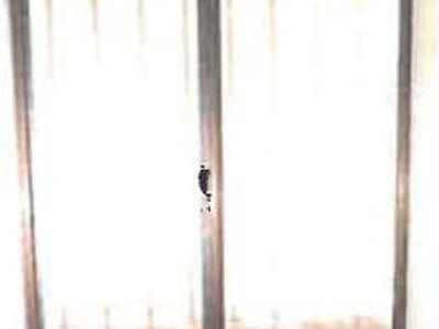 (値下げ) 大阪府松原市 高見ノ里駅10分 戸建て 306万円の競売物件 #8