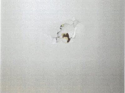 大阪府河内長野市 滝谷駅13分 マンション「ライオンズマンション千代田」299万円の競売物件 #2