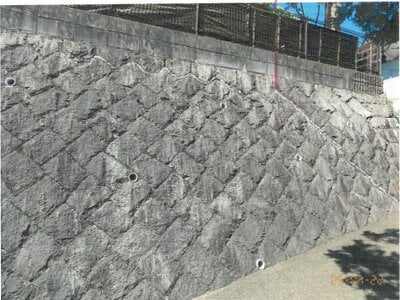 奈良県生駒郡斑鳩町 竜田川駅23分 戸建て 89万円の競売物件 #4