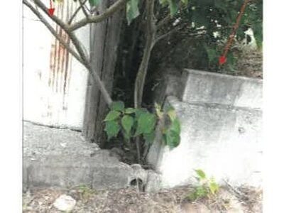 香川県東かがわ市 讃岐白鳥駅14分 戸建て 293万円の競売物件 #5