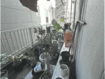 香川県高松市 栗林公園駅6分 戸建て 694万円の競売物件 #22