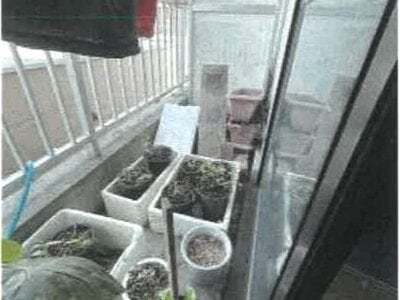 香川県高松市 栗林公園駅6分 戸建て 694万円の競売物件 #28