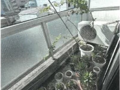 香川県高松市 栗林公園駅6分 戸建て 694万円の競売物件 #32