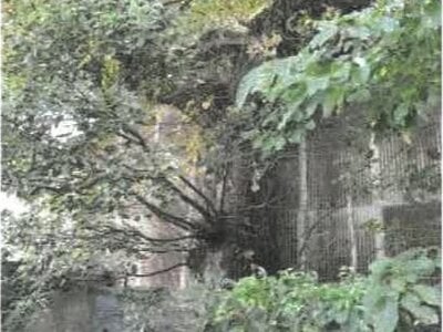 香川県善通寺市 善通寺駅13分 戸建て 397万円の競売物件 #5