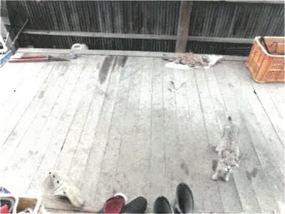 (値下げ) 香川県さぬき市 鶴羽駅1分 戸建て 97万円の競売物件 #23