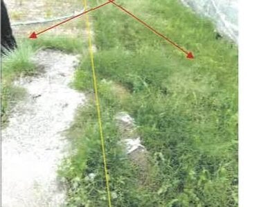 (値下げ) 香川県さぬき市 鶴羽駅1分 戸建て 97万円の競売物件 #63