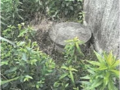 (値下げ) 香川県仲多度郡琴平町 榎井駅12分 戸建て 346万円の競売物件 #8