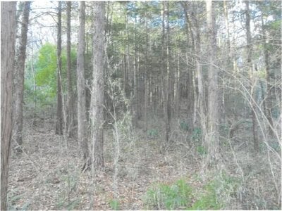 茨城県桜川市 岩瀬駅25分 土地 36万円の競売物件 #1