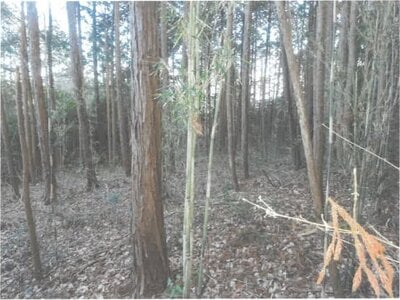 茨城県桜川市 岩瀬駅25分 土地 36万円の競売物件 #2