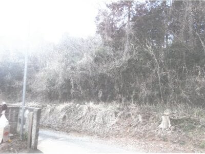 茨城県かすみがうら市 神立駅26分 農地 653万円の競売物件 #2