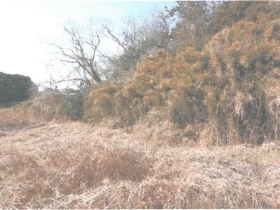 茨城県かすみがうら市 神立駅26分 農地 653万円の競売物件 #3