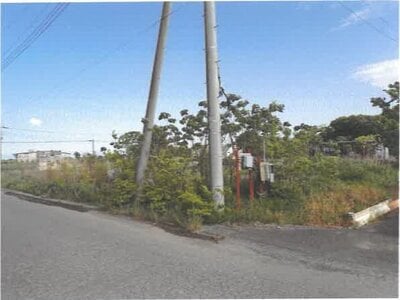 埼玉県羽生市 川俣駅 土地 103万円の競売物件 #1