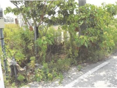 埼玉県羽生市 川俣駅 土地 103万円の競売物件 #11