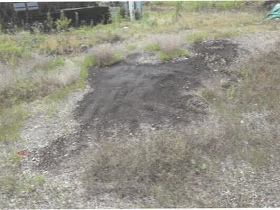 埼玉県羽生市 川俣駅 土地 103万円の競売物件 #6