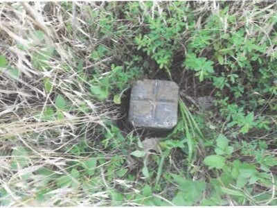 埼玉県羽生市 羽生駅30分 土地 178万円の競売物件 #3