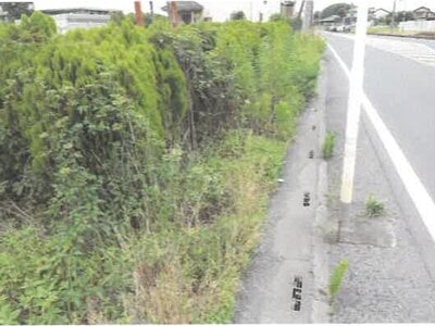 埼玉県羽生市 羽生駅30分 土地 178万円の競売物件 #4