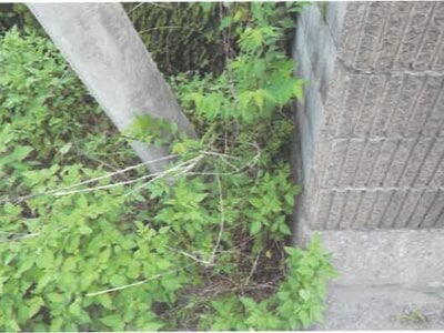 埼玉県羽生市 羽生駅30分 土地 178万円の競売物件 #5