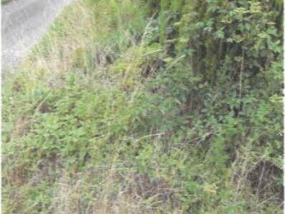 埼玉県羽生市 羽生駅30分 土地 178万円の競売物件 #6