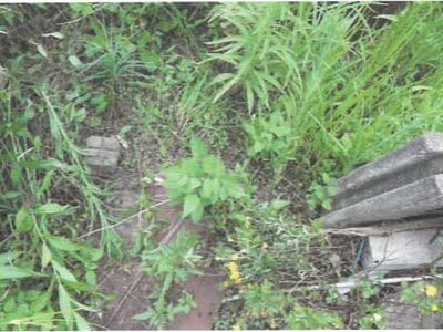 埼玉県羽生市 羽生駅30分 土地 178万円の競売物件 #7